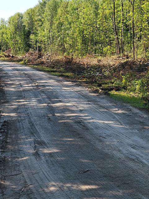 LOT12-TBD Driftwood Ln NW, Baudette, MN 56623