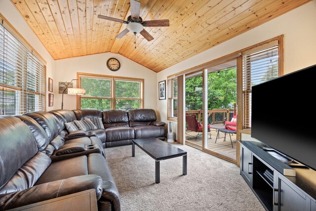 4545 Terraceview Ln N, Plymouth, MN 55446 - photo 6
