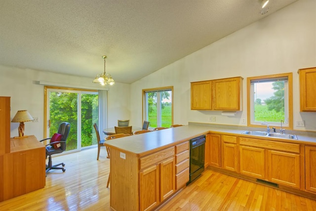 343 Perch Ln, Winsted, MN 55395 - kitchen featuring black dishwasher, a textured ceiling, light wood-type flooring, a chandelier, and light countertops