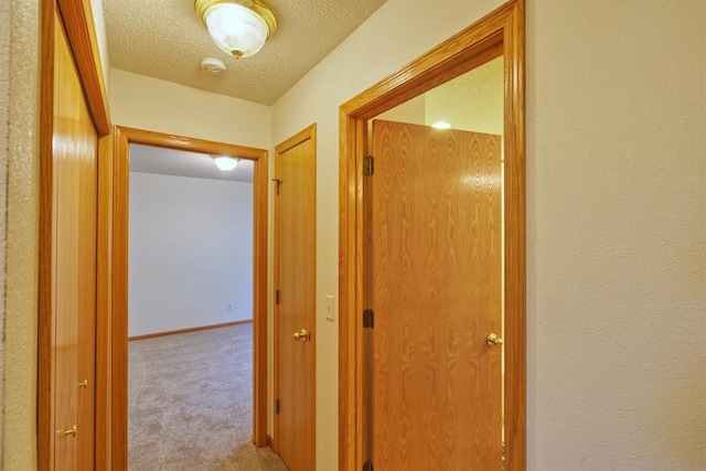 343 Perch Ln, Winsted, MN 55395 - corridor featuring carpet and a textured ceiling