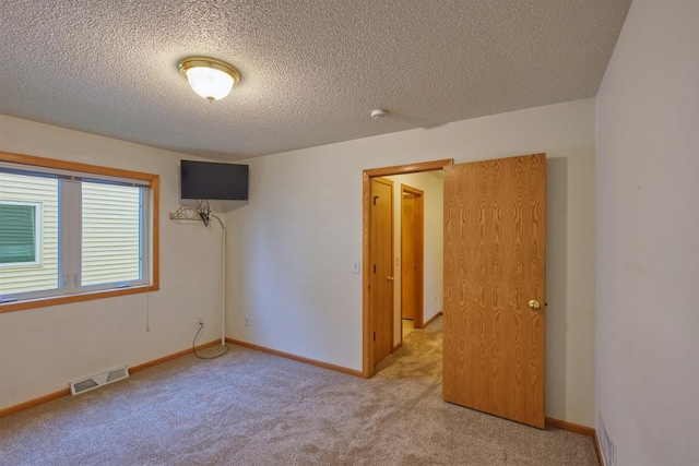 343 Perch Ln, Winsted, MN 55395 - spare room with carpet floors, a textured ceiling, and a smoke detector