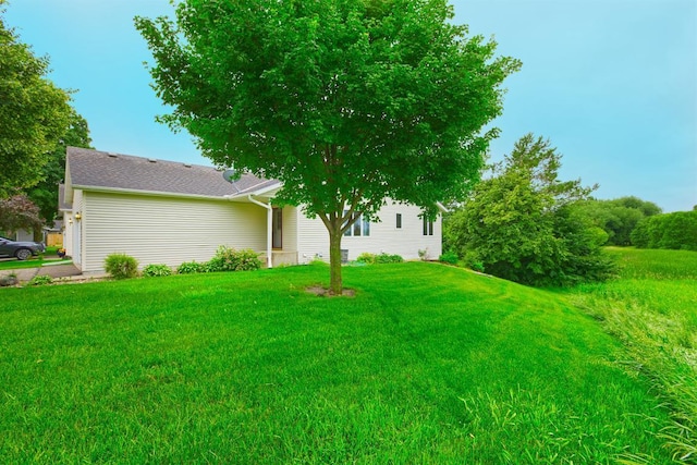 343 Perch Ln, Winsted, MN 55395 - view of green lawn