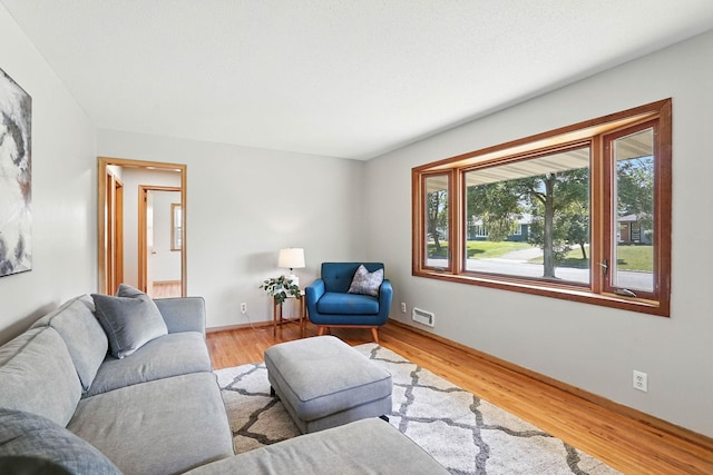11439 Heights Dr NW, Coon Rapids, MN 55433 - living area featuring wood finished floors