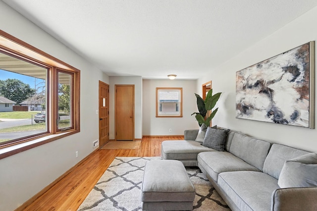 11439 Heights Dr NW, Coon Rapids, MN 55433 - living area with healthy amount of natural light and light wood-style floors