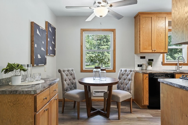 11439 Heights Dr NW, Coon Rapids, MN 55433 - kitchen featuring black dishwasher, light wood-style floors, plenty of natural light, and ceiling fan