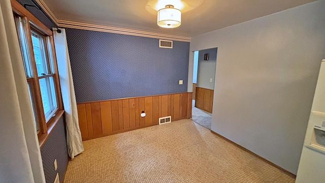 122 Plainview Ave, Mankato, MN 56001 - carpeted empty room featuring a wainscoted wall, wooden walls, and ornamental molding