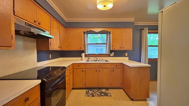 122 Plainview Ave, Mankato, MN 56001 - kitchen with black electric range oven, under cabinet range hood, light countertops, ornamental molding, and decorative backsplash