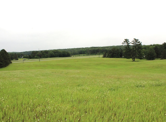 34497 Quiken Rd, Motley, MN 56466 - view of green lawn featuring a view of countryside