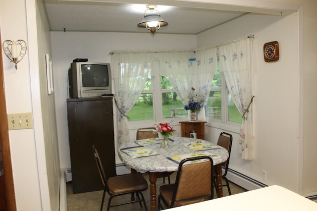 34497 Quiken Rd, Motley, MN 56466 - dining room with baseboard heating