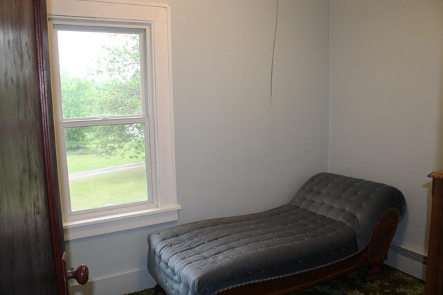 34497 Quiken Rd, Motley, MN 56466 - bedroom with a baseboard radiator and multiple windows