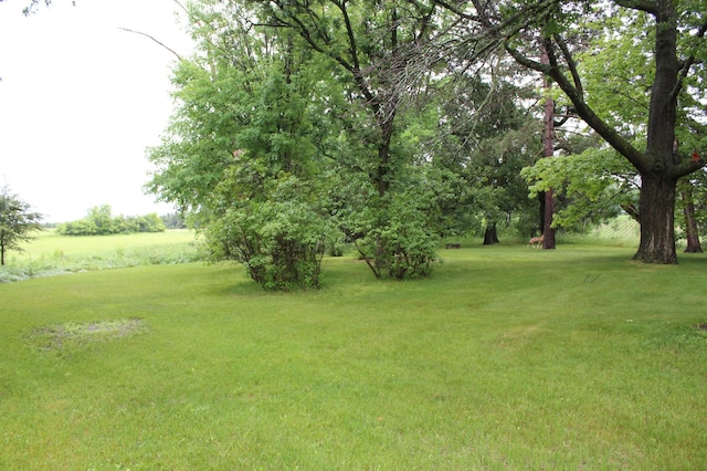 34497 Quiken Rd, Motley, MN 56466 - view of green lawn