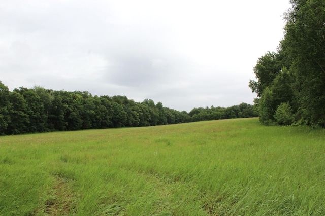 34497 Quiken Rd, Motley, MN 56466 - view of tree filled area featuring a view of rural / pastoral area