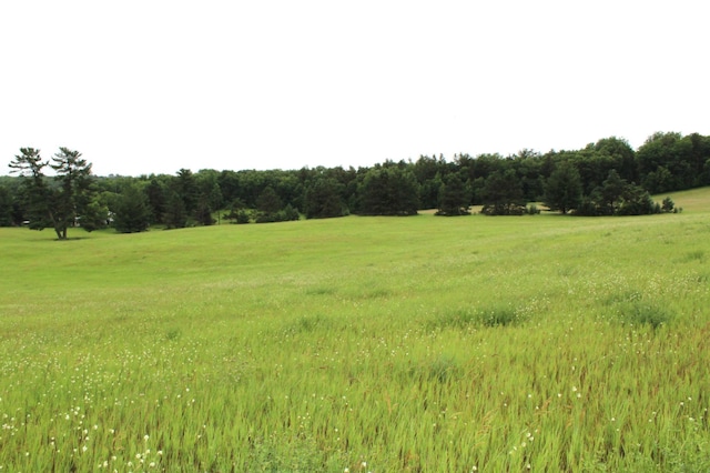 34497 Quiken Rd, Motley, MN 56466 - view of nature with rural landscape
