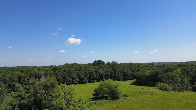 34497 Quiken Rd, Motley, MN 56466 - view of tree filled area