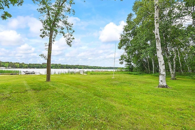 22673 106th St, Menahga, MN 56464 - photo 35