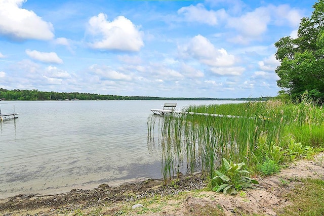 22673 106th St, Menahga, MN 56464 - photo 38