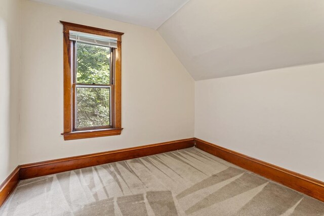 607 Lake Blvd S, Buffalo, MN 55313 - photo 9