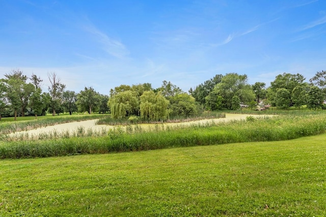 607 Lake Blvd S, Buffalo, MN 55313 - photo 15