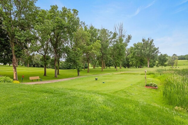 607 Lake Blvd S, Buffalo, MN 55313 - photo 16