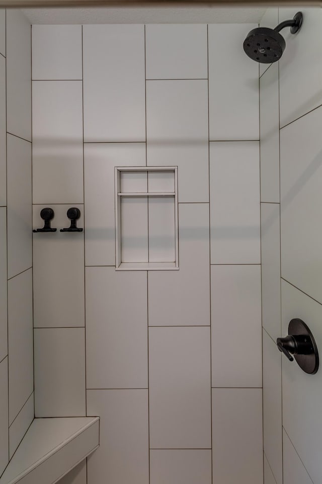 20428 Pheasant Trl, Brainerd, MN 56401 - bathroom view of a package area and tiled shower