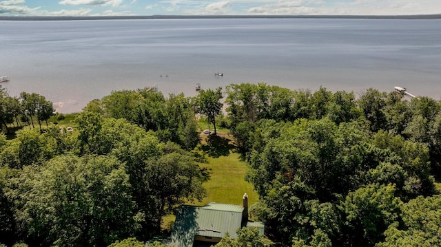 20428 Pheasant Trl, Brainerd, MN 56401 - bird's eye view of a large body of water