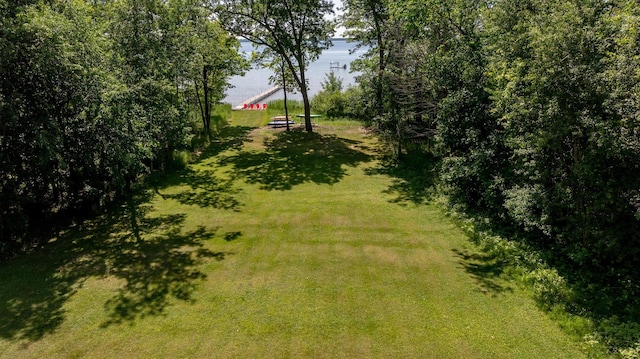 20428 Pheasant Trl, Brainerd, MN 56401 - view of green lawn