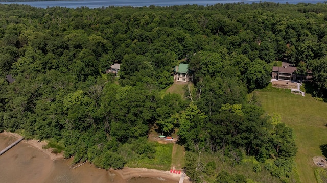 20428 Pheasant Trl, Brainerd, MN 56401 - aerial overview of property's location with a nearby body of water