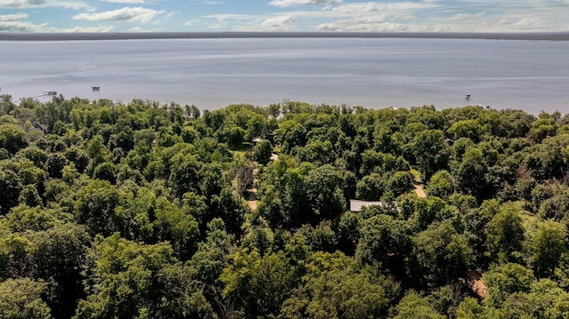 20428 Pheasant Trl, Brainerd, MN 56401 - drone / aerial view of a nearby body of water and a heavily wooded area