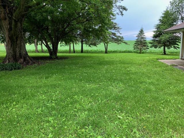 358 Cypress Ave, New Richland, MN 56072 - view of green lawn