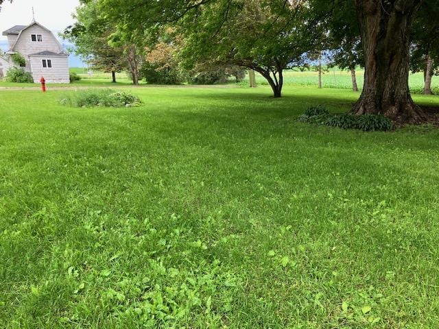 358 Cypress Ave, New Richland, MN 56072 - view of grassy yard