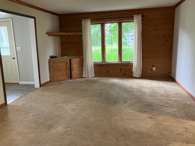 358 Cypress Ave, New Richland, MN 56072 - unfurnished living room with wooden walls, healthy amount of natural light, carpet flooring, and crown molding
