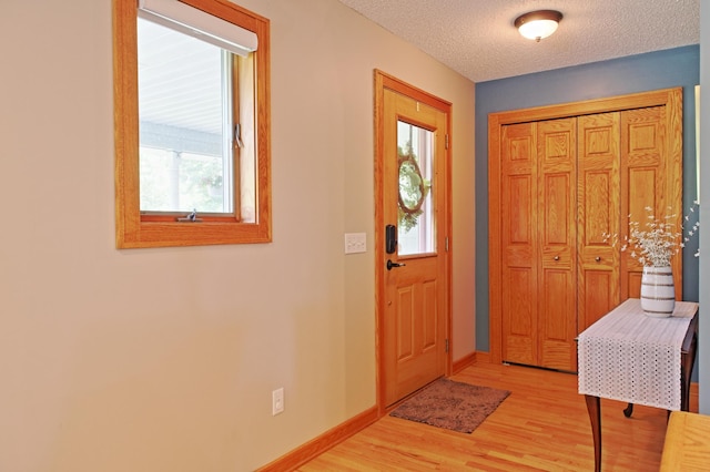 13334 Silverod Ct NW, Andover, MN 55304 - entryway with plenty of natural light, light wood finished floors, and a textured ceiling