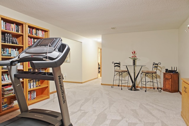 13334 Silverod Ct NW, Andover, MN 55304 - exercise room with carpet flooring and a textured ceiling