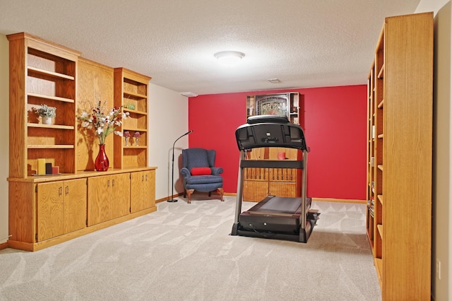 13334 Silverod Ct NW, Andover, MN 55304 - exercise area with carpet flooring and a textured ceiling