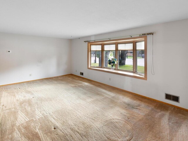 11827 Douglas Dr N, Champlin, MN 55316 - spare room featuring carpet floors