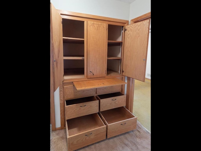 11827 Douglas Dr N, Champlin, MN 55316 - view of closet
