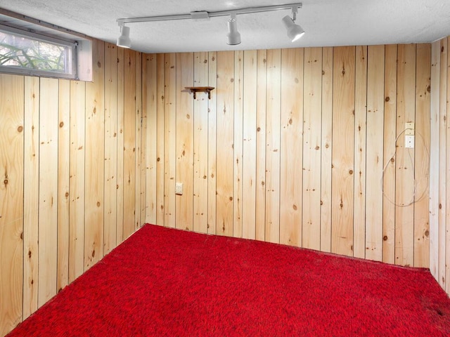 11827 Douglas Dr N, Champlin, MN 55316 - empty room with rail lighting, wood walls, and a textured ceiling