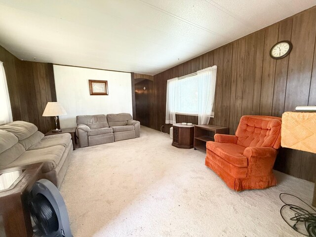 2058 Pine Knoll Rd, Knife Lake Twp, MN 55051 - photo 5