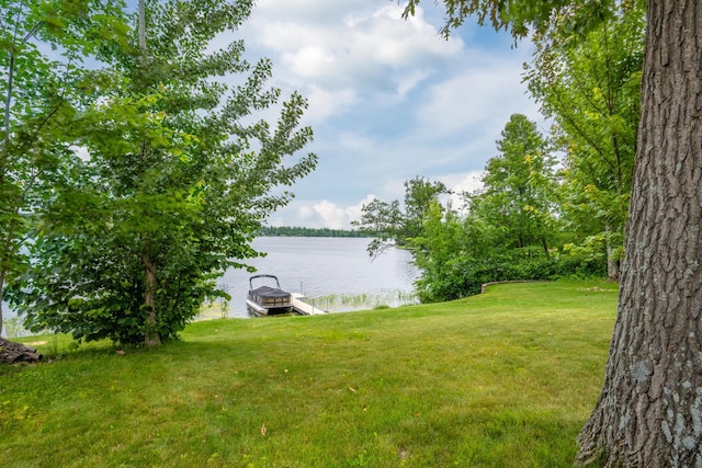 1674 White Ash Dr, Apple River Twp, WI 54810 - photo 22