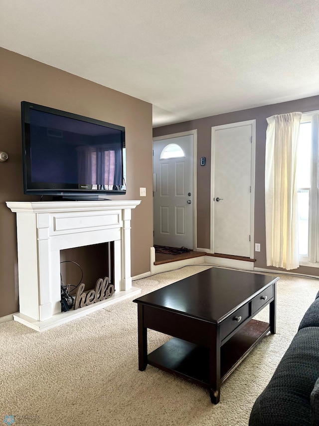 835 23rd Ave S, Moorhead, MN 56560 - living area featuring carpet flooring and a fireplace with raised hearth