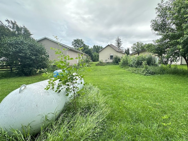 203 4th St, Beaver Creek, MN 56116 - view of green lawn