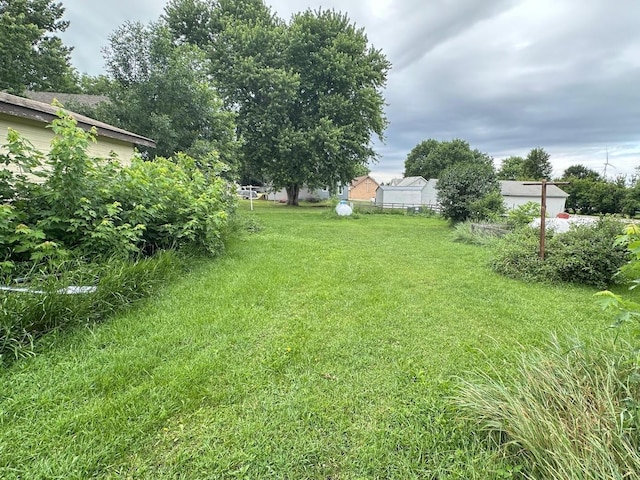 203 4th St, Beaver Creek, MN 56116 - view of green lawn