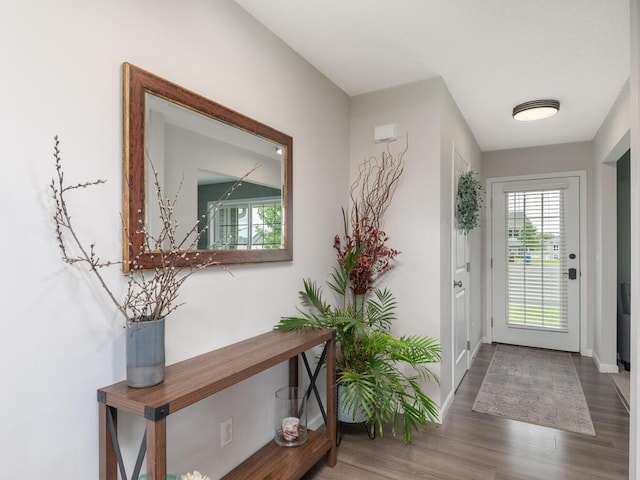 910 Burton Cir, Montrose, MN 55363 - foyer entrance featuring wood finished floors and baseboards