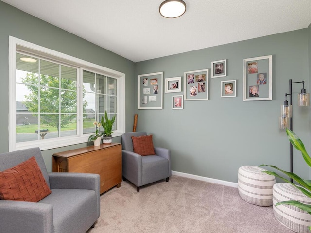 910 Burton Cir, Montrose, MN 55363 - sitting room with carpet flooring and baseboards