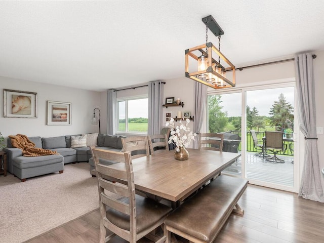 910 Burton Cir, Montrose, MN 55363 - dining space with wood finished floors and a chandelier