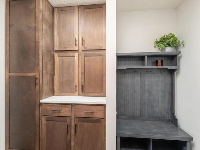 910 Burton Cir, Montrose, MN 55363 - view of mudroom
