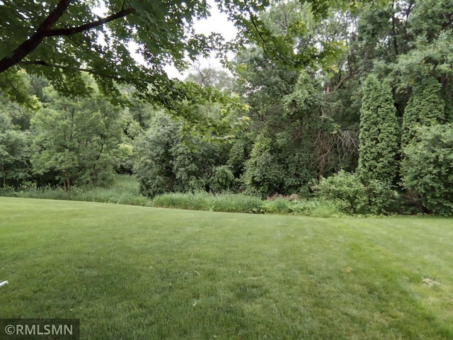 6640 Fountain Ct N, Maple Grove, MN 55311 - view of grassy yard