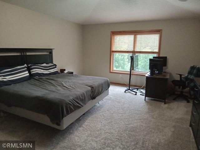 6640 Fountain Ct N, Maple Grove, MN 55311 - view of carpeted bedroom