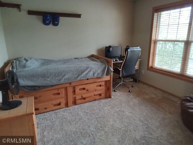 6640 Fountain Ct N, Maple Grove, MN 55311 - bedroom with carpet floors