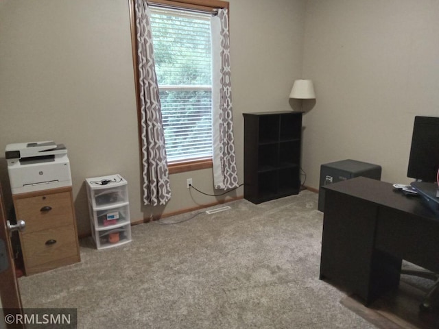 6640 Fountain Ct N, Maple Grove, MN 55311 - home office with carpet floors and plenty of natural light